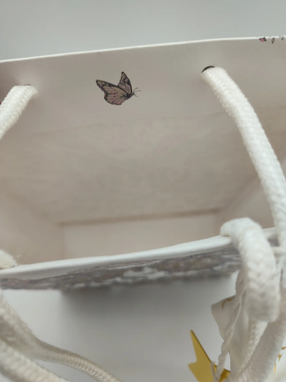 DIOR Butterfly Floral Around The World Gift Bag Gold Star Charm Ribbon PRISTINE